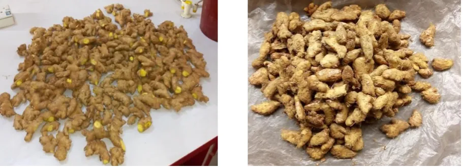 Figure 3: Ginger rhizomes before and after peeling 