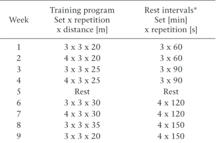 Figure 2. Graphic representation of the track used to measure sprint velocity at a distance of 20 m (R 20 )