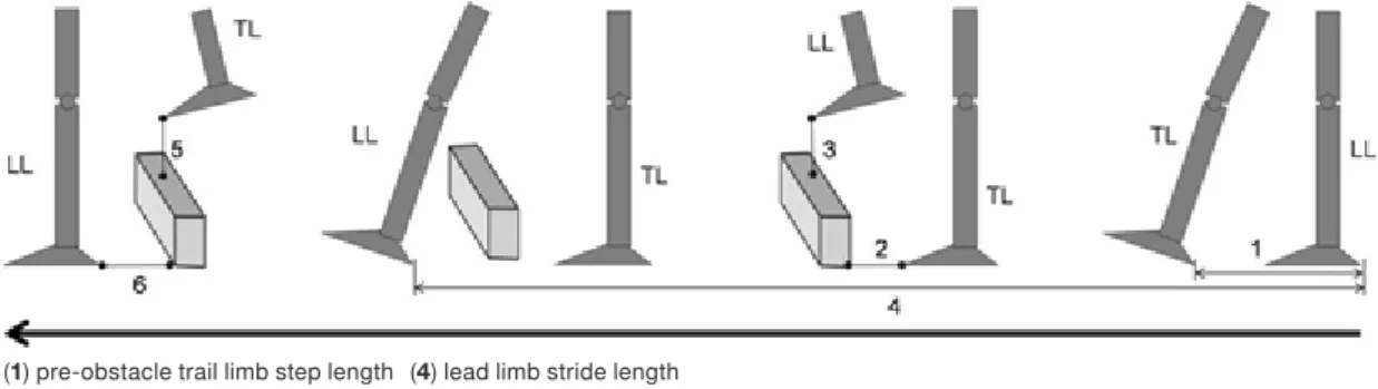 Figure 1. Lower limb movements during the obstacle crossing task, where LL represents the lead limb   (the first limb to step over the obstacle) and TL the trail limb (the contralateral limb to step over the obstacle)