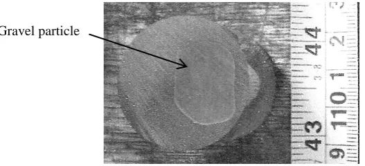 Figure 1   Test specimen of aggregate set in resin material. 