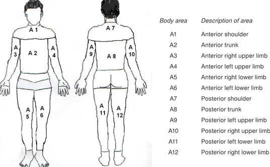 Figure 1. Measurement fields of the 12 examined body areasBody area Description of area