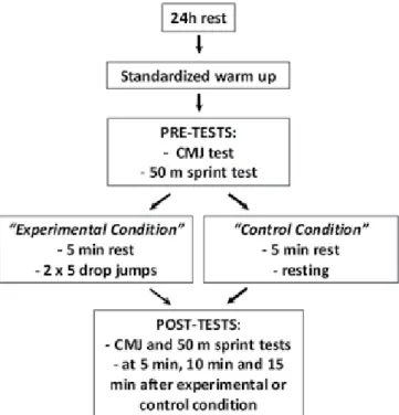 Figure 1 illustrates the protocol conditions used in  this study. Each protocol condition was performed on  a different day