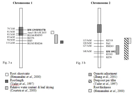 Fig. 3 a 