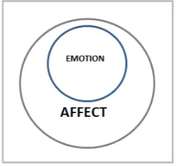 Figure 1.1 summarizes the relationship between affect and emotion.