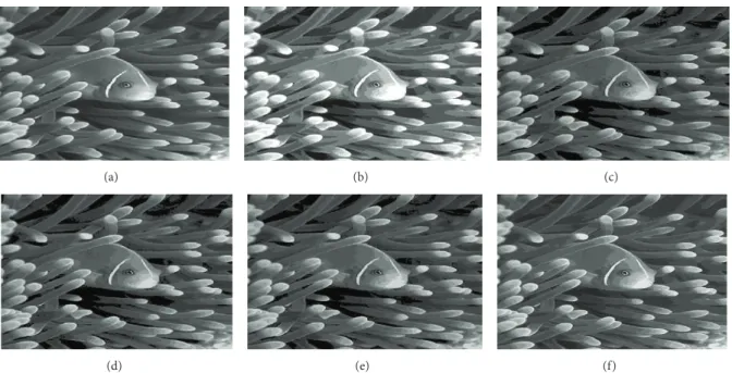 Figure 7: Segmentation results in 9 clusters/levels of image “210088” after applying different algorithms: (a) original image, (b) KM, (c) PSO, (d) DPSO, (e) FODPSO, and (f) proposed.