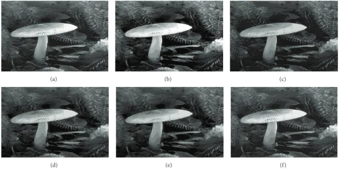 Figure 8: Segmentation results in 10 clusters/levels of image “208001” after applying different algorithms: (a) original image, (b) KM, (c) PSO, (d) DPSO, (e) FODPSO, and (f) proposed.