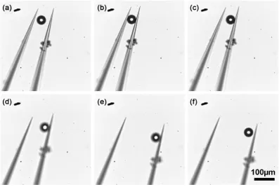 Figure 8 shows the manipulation process for a 55-μm microbead. by using the adjustment stage (object