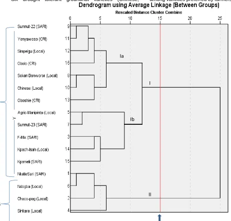 Figure 2:  Dendrogram of groundnut accessions generated by SPSS vs22 pc software, based on Euclidian  distance as per pod yield and performance for other traits, for both Well-Watered (WW) and Water-Stressed (WS) Environments (From top: Clusters A and B)