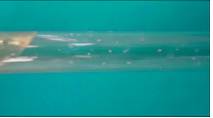 Figure 1. Bacteria colonies in roll tube. 
