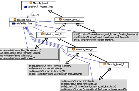 Figure 5. Maturity levels. 