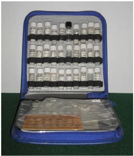 Figure 6. Large remedy kit