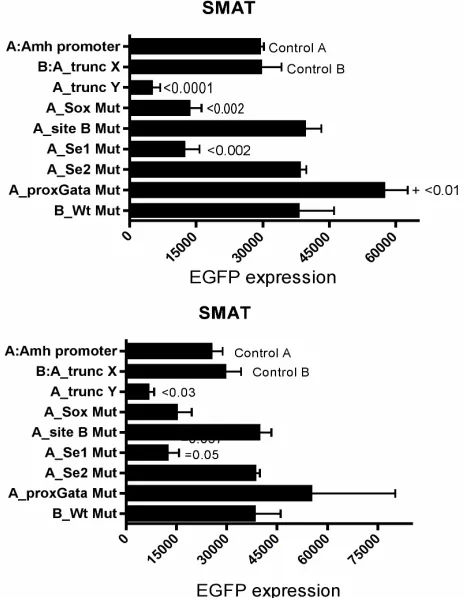 Figure 2. EGFP expression in 7 different cell lines. The re-compared with the response driven by an unmodified mouse Amh promoter, which for each cell is expressed as a percentage of the control Tk response; for example this is 0.3% for 3T3 sponse driven b