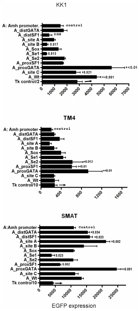 Figure 7pared again, this time just between KK1 and SMAT. 