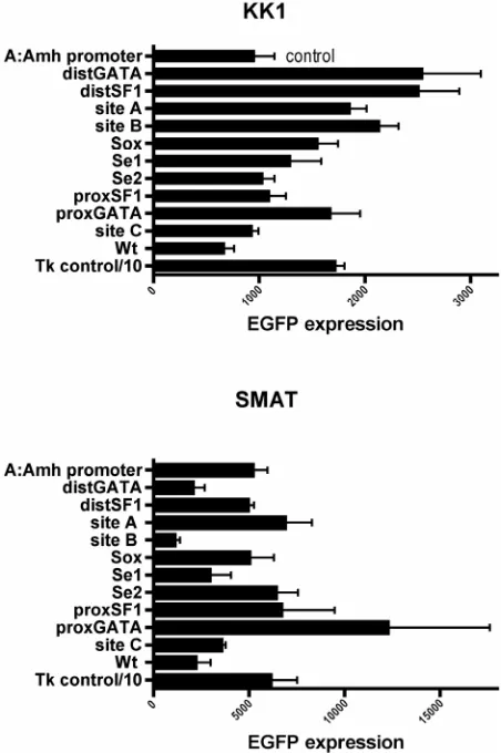 Figure 7. Arrays of expression responses driven by eleven (pre-pubertal Sertoli) and KK1 (granulosa) cells are compared