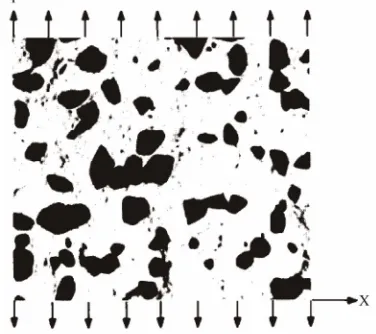 Figure 1. Microstructure of α-β Ti-8Mn alloy at 17% vo- lume fraction α. 