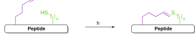 Figure 1.3: General scheme of peptide stapling via intramolecular thiol-yne addition.