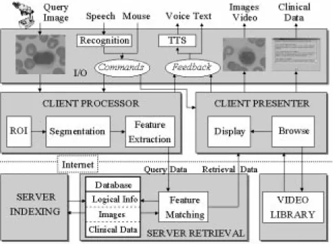Figure 2. Architecture of the Decision Support component.