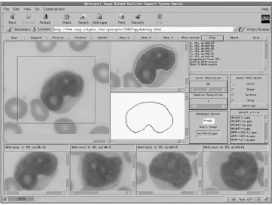 Figure 3. The Decision Support applet of the IGDS system.