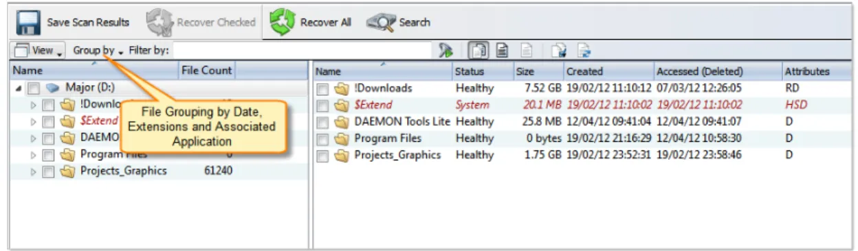 Figure 1: File grouping in Volume Scan Result