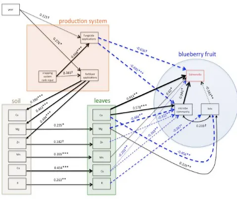 Figure 1. Conceptual model of Salmonella spp. dynamics based upon a structural equation model