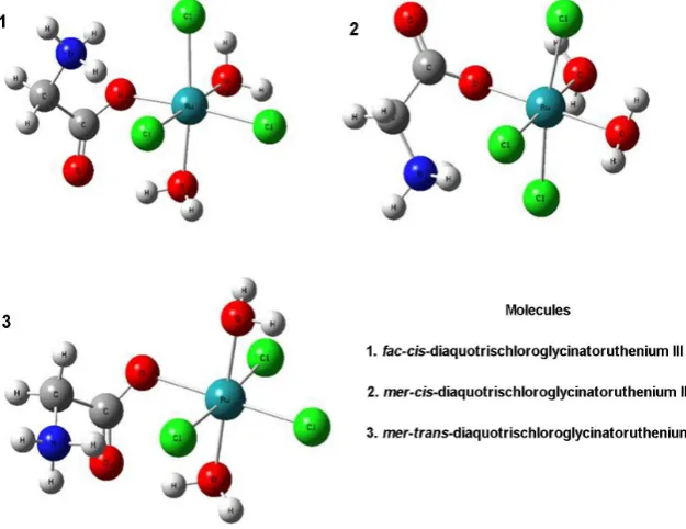 Figure 1. Structure of the molecule isomers [RuCl3(H2O)2gly]. 