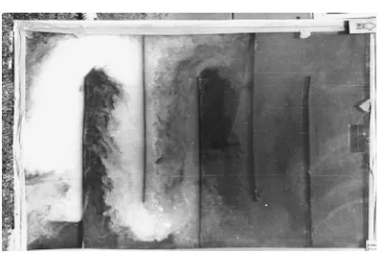Figure 2. Visualization of air flow in the collector with baffles. 