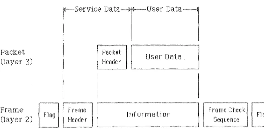Figure 1 Pack~·t Format 