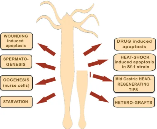Fig. 1 and key features of each context in Table 1). 