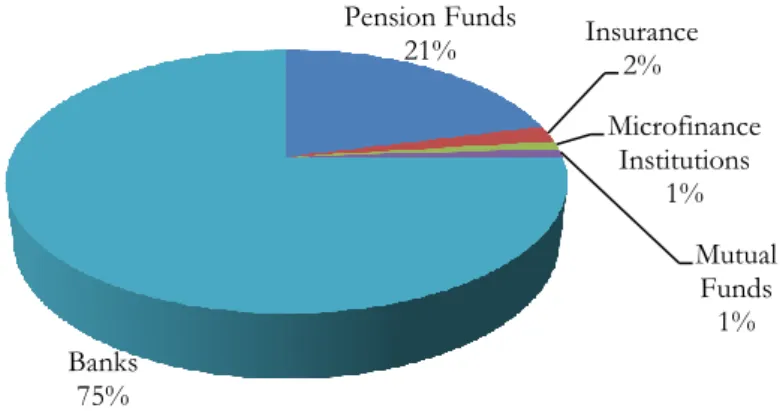 Figure 2.4: Financial sector asset-based composition in 2010  Source: Bank of Tanzania (2010) 