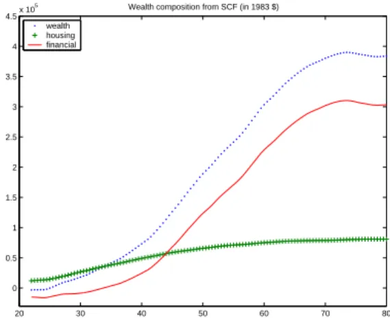 Figure 8: Age profile of wealth composition