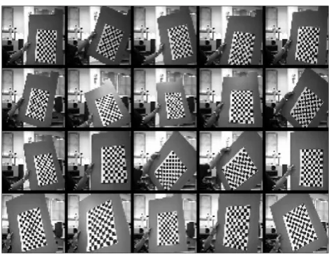 Figure 2-10 Output images from left camera  