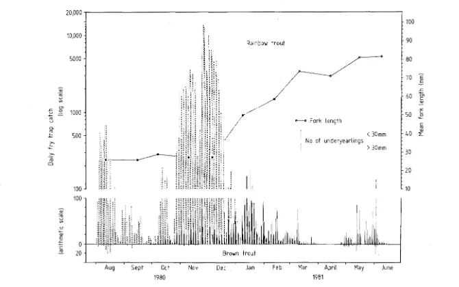 Figure 5.1 The brown and rainbow trout underyearling outmigration 1980-1981 and monthly mean lengths of rainbow migrants