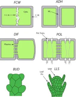 Fig. 3. Schematic representation of the six dynamical patterning mod-ules. (see Table 1)