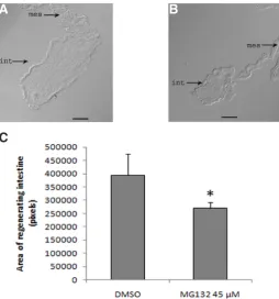 Fig. 4. Gene expression profile 