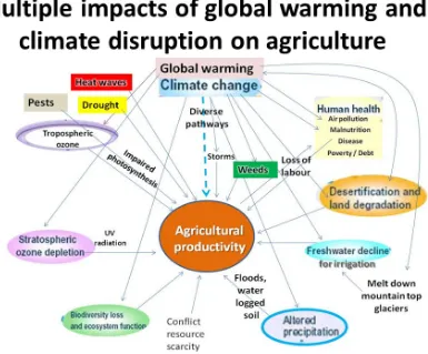 Fig 1: Projected impact of climate change on agricultural yields by the 2080s, compared to 2003 levels (Cline, 2007)