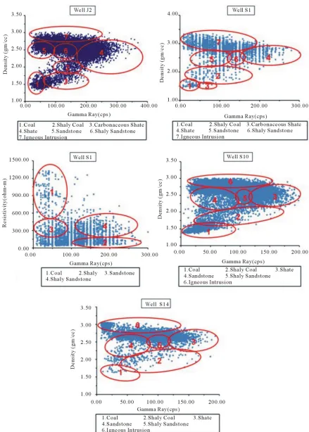 Figure 3. Identification of litho-units from (a) Gamma ray versus density cross-plot for well J2; (b) Gamma ray versus den-sity and (c) Gamma ray versus resistivity cross-plots for well S1; (d) Gamma ray versus density cross-plot for well S10 and (e) 