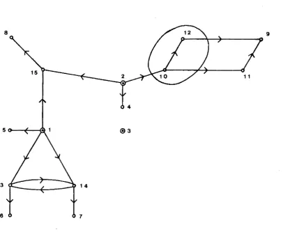 Figure 3.1 General Flow Digraph 