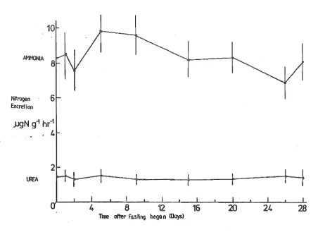 Figure 4.1 Graph of ammonia and urea excretion 28 day fasting period in water at 15°C