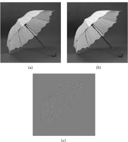 Figure 1. The result of MCA decomposition. (a) the original image; (b)the texture of the original image; (c) the structure of the original image