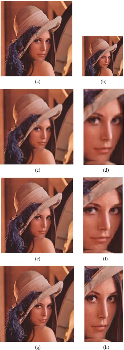 Figure 3. Super-resolution reconstruction result of Lena under different methods. 