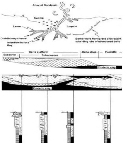 Figure Illustrative of the geomorphology and sedimentary   facies of a Recent delta. Note the complexity of the 