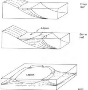 Figure Illustrative of the three main types of present day reefs. 