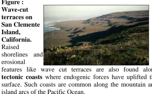 Figure :  Wave-cut  terraces on  San Clemente  Island, 
