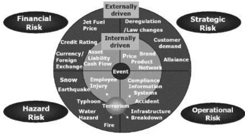 Figure 9: Airline risks 