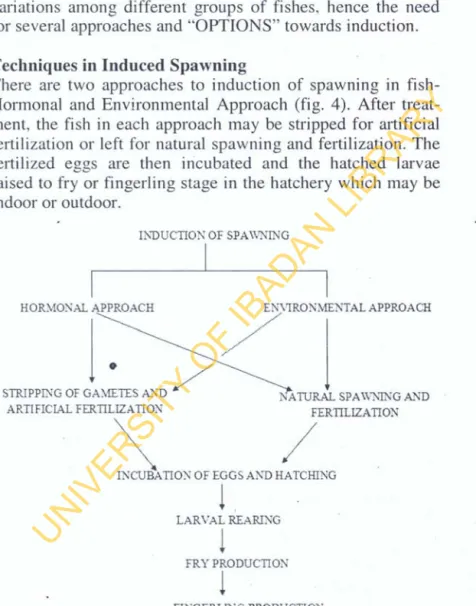 Fig. 4: Hormonal and environmental approaches to induction of spawning in fish (Modified after Hoar and Randall 1969).