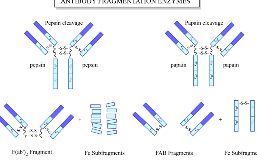 Figure by MIT OCW.
