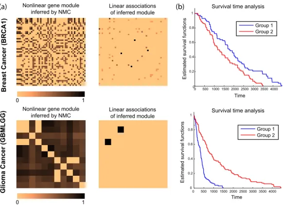 Figure 5: (a) Examples of nonlinear gene modules defined in Section 8, as a group of genes that is enriched in the NMC network but not in the linear one