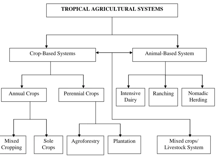 Figure 7:  A Schematic Classification of Tropical Agricultural Systems (after Beets, 1990)  TROPICAL AGRICULTURAL SYSTEMS 