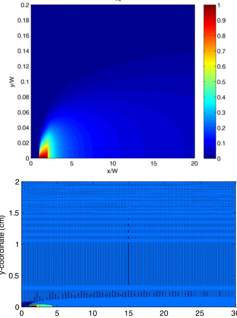 Figure 6.2 Concentration profile using Dirichlet boundary condition for  x = R and y = B