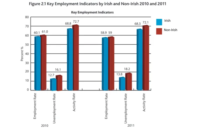 Figure 2.1 Key Employment Indicators by Irish and Non-Irish 2010 and 2011